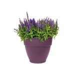 vibia campana round 30cm porpora acero